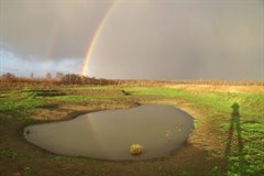 Ecopoel in Haarzuilens