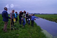 Start monitoring ontwikkeling ecologie in sloten door vrijwilligers