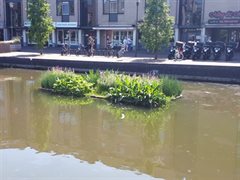 20190730_122535_resized Het Rond