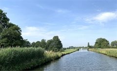 Foto: zicht op GHIJ riet en blauwe lucht