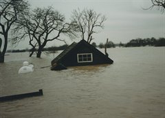 Hoogwater 1995 in beeld