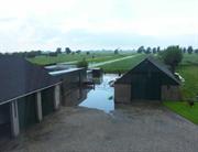 Wateroverlast langs de Lekdijk-West