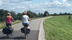 Fietsers op de Lekdijk