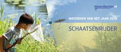 2026 Campagne Schaatsenrijder plaatje uit mail