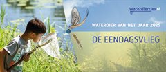 Banner campagne 2025 eendagsvlieg