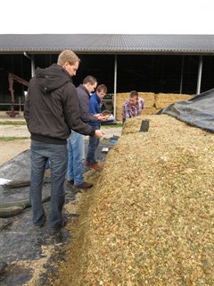 Onderzoek tijdens workshop voer