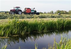 Levendige boerensloot