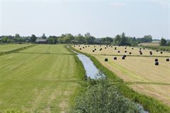 Panorama slootkanten kooijman kamerik