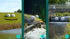 Knipsel AMC Waterschap-Werk dijk-snoek-stuw PNG