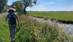 Wandelaar langs bloeiende boerensloot