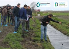 Lessen voor successen Landbouwprojecten in Rijn West en Deltaplan Agrarisch Waterbeheer