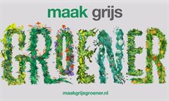 Maakgrijsgroener