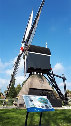 molen oudegein