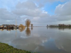 Hoogwater Lek