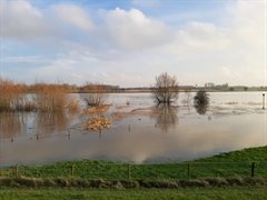Bosschenwaarden Wijk