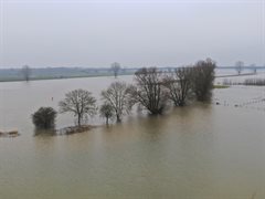 Hoogwater op de Lek