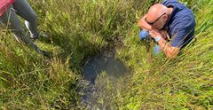 Twee collega's van het waterschap die een plas stilstaand water inspecteren