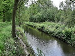 Natuursloot in het Langbroekerweteringgebied