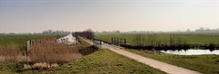 Omgeving van Kamerik met een weiland een verharde brug en een watergang