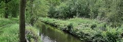 Een natuursloot in het Langbroekerweteringgebied