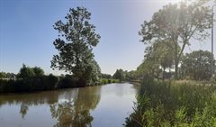 Willeskop uitzicht over het water