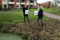 2021-11-19 Duiker bij de rotonde Vierbergenweg Oude Singel - Bas Lont (1)