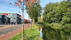 De oever bij de Herengracht in Nieuwegein