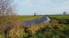 Polder in Spengen. In de verte kan je de molen zien staan..