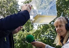 Waterdiertjes bij Vroege Vogels radio zo29mei22