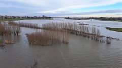 Foto hoogwatergolfje vanaf Lekbrug in Nieuwegein