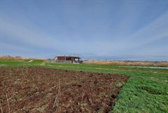 Strook nieuw bos met gemaal Oud-Kamerik op de achtergrond