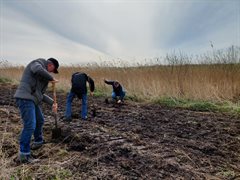 Samen bomen planten