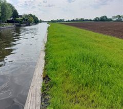 Willeskop 1