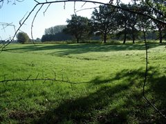 Indruk natuurgrasland