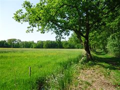 internesloot tussen natuurgebied bos en grasland