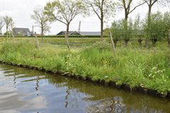 Foto met bomen op de waterkering