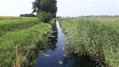 Marckenburgerwetering