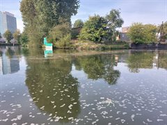 Verontreiniging Merwedekanaal 3 oktober 2023