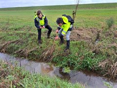 Zandmeevoerende wel in sloot