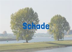 Schade