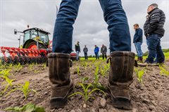DAW-website vernieuwd