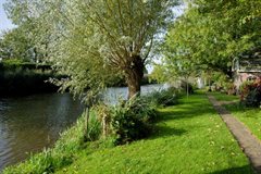 Hekendorp oever met knotwilg - van website