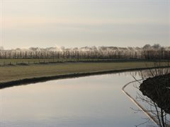 nachtvorst met veel water