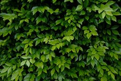 pexels-katetrifo-3804996