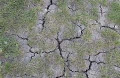 droogte4