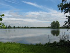 plas de zwaan