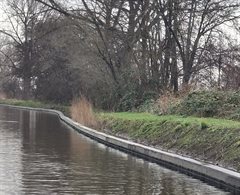 Willeskop nieuwe oever