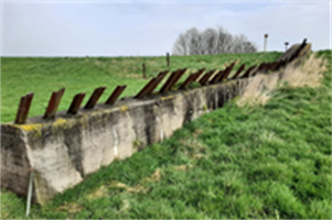 Aspergeversterkingen