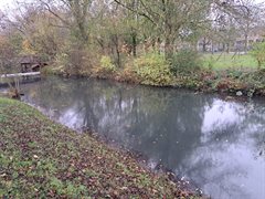 Verontreiniging van het oppervlaktewater