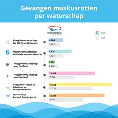 MRB vangstcijfers infographics-4 (1)